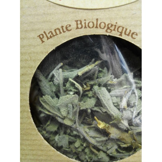 Sauge BIO (salvia officinalis)