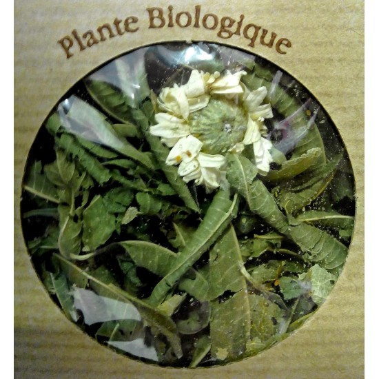 Sachet mélange du soir BIO (verveine, tilleul, camomille)