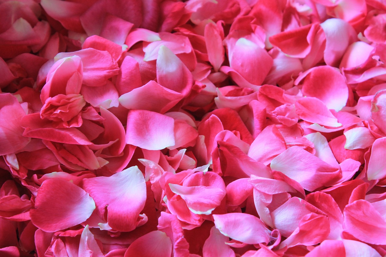 Petales De Roses Gifi - Maison Idées Blog